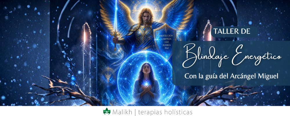 Taller de Blindaje energético