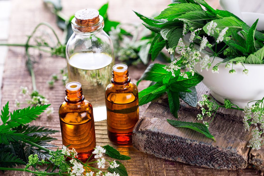 Terapia floral Bach